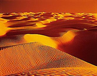 制作人虽有遗憾 但《新美妙世界》之后难有续作